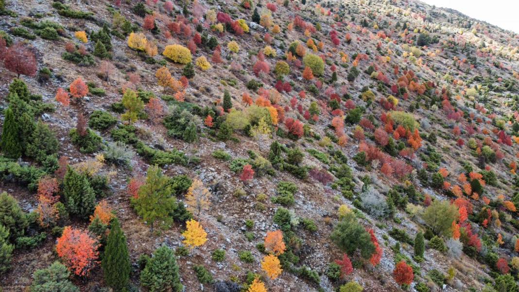 Konya’nın zirvelerinde sonbahar şöleni 7